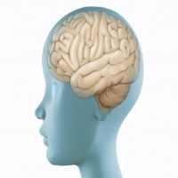 Neurology Guide on 9Apps