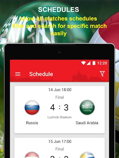 World Cup Russia 2018: Live Scores, goalalert screenshot 11