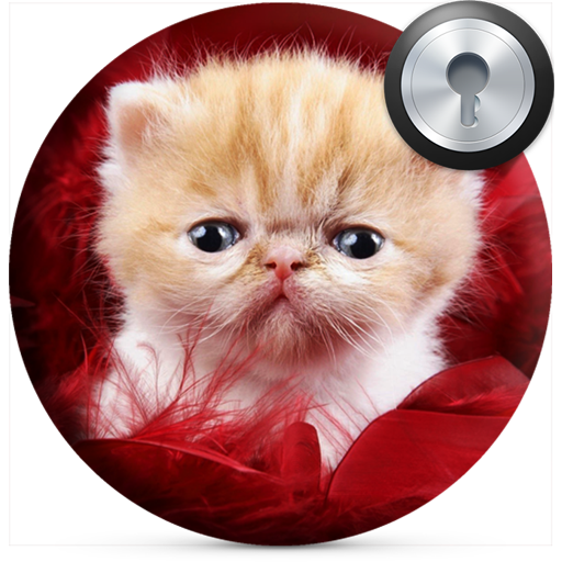 Cute Kitten Lock Screen icon