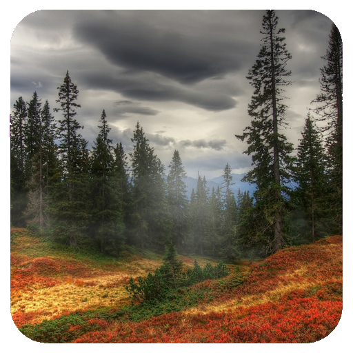 Forest Wallpaper icon