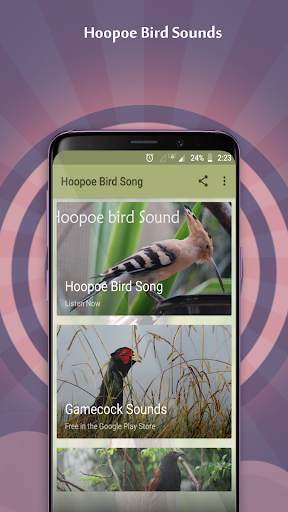 Hoopoe Bird Song скриншот 1