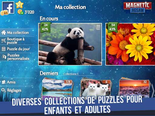 Magnetic Jigsaw screenshot 8