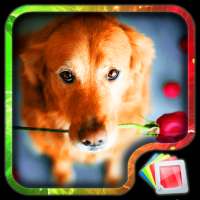 Cute Puppies Live Wallpaper logo