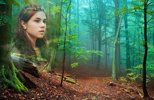 Forest Photo Frames screenshot 2