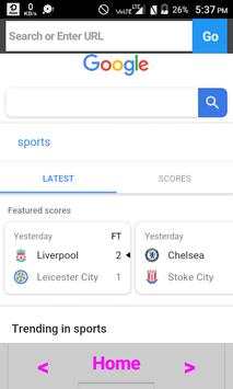 2018 Browser screenshot 2
