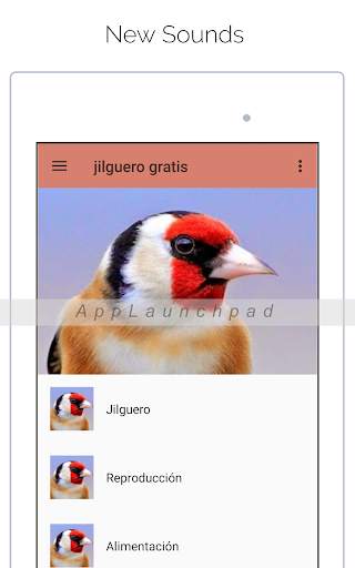 Goldfinch free screenshot 5