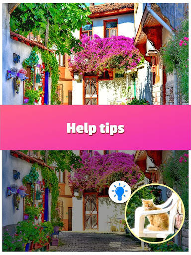 Find The Differences 500 Photos 2 screenshot 3