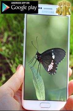 Mega Zoom Camera HD New 2017 screenshot 1