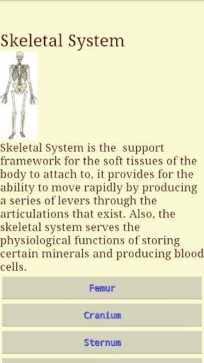 Human Body - Anatomy screenshot 2