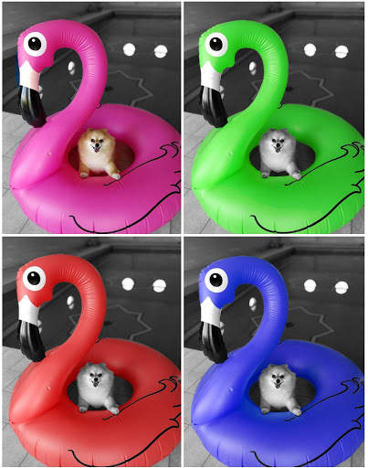 Partial Color Master - Color splash photo editor screenshot 2
