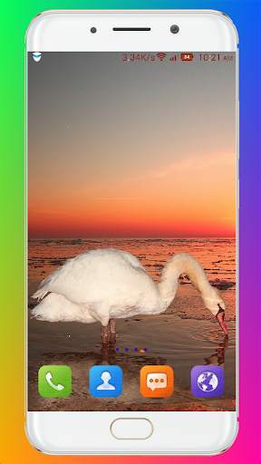 Swan Wallpaper HD screenshot 8
