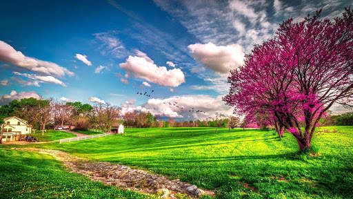 Spring Wallpapers : backgrounds hd screenshot 17