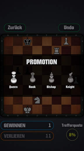 Schach spielen screenshot 4