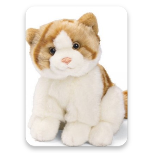 Beautyfull Cat HD Wallpapers icon
