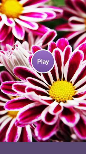 Hen Memory Game screenshot 1