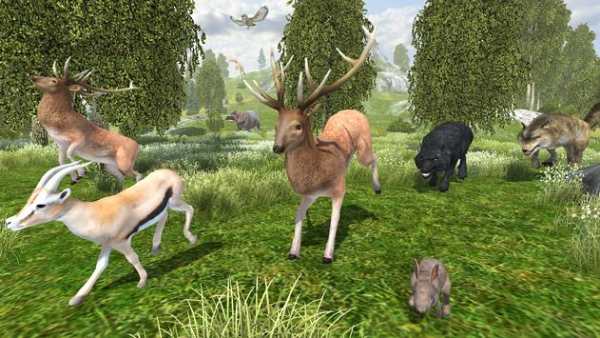Wild Life: Wolf Clan screenshot 2