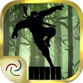 Ninja Shida 9.13