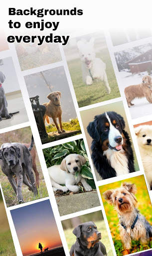 Dog status and wallpaper HD screenshot 1