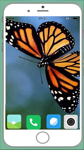 Butterfly Full HD Wallpaper screenshot 3