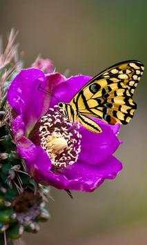 Gesture Lock screen and app lock theme butterfly screenshot 1