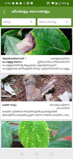 INDIAN PEPPER FARMERS APP - IPC screenshot 2