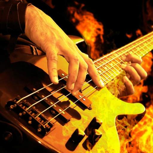 Bass Grooves 1.0.30