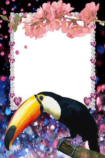 Birds Photo Frames स्क्रीनशॉट 2