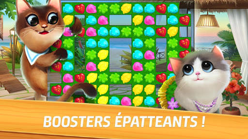 Miaou Match screenshot 10