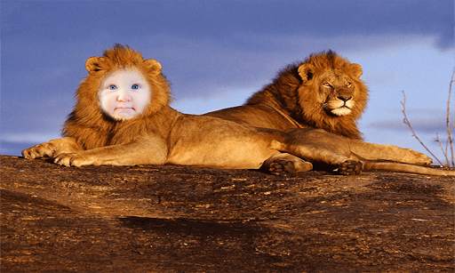 Lion Face Photo Editor screenshot 4