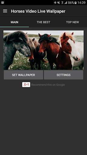 Horses Video Live Wallpaper screenshot 8