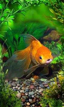 Fishes Aquarium screenshot 1