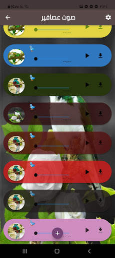 أصوات عصافير Bird sounds screenshot 1