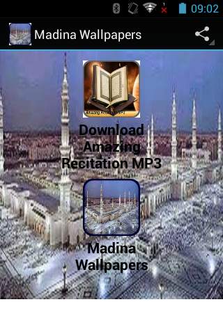 Madina Wallpapers 1 تصوير الشاشة