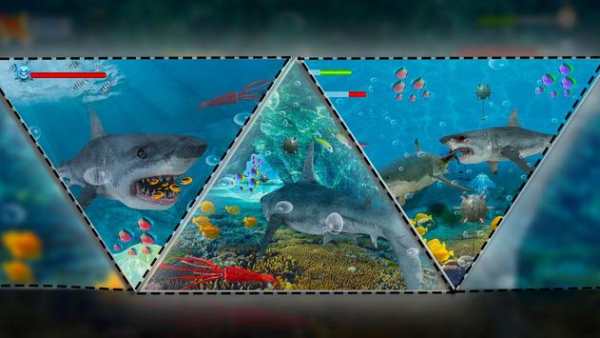 VR Shark Attack Angry Blue Whale screenshot 7
