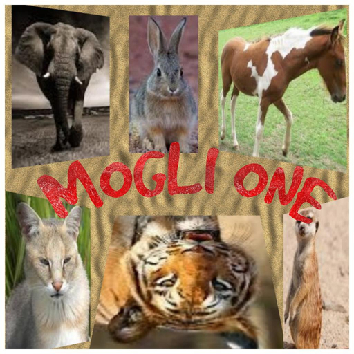 MOGLI ONE icon