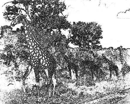 Pencil Artist Sketch Editor 6 تصوير الشاشة