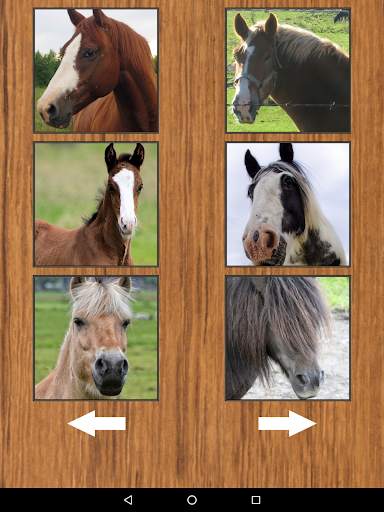 Funny Horse Farm Sounds screenshot 7
