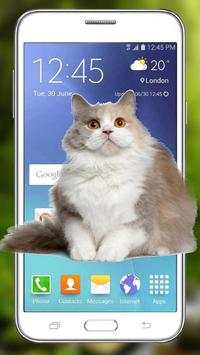 Funny Cat Walks On Screen - Cute Animation & Joke screenshot 3