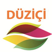 Düziçi Mobil icon