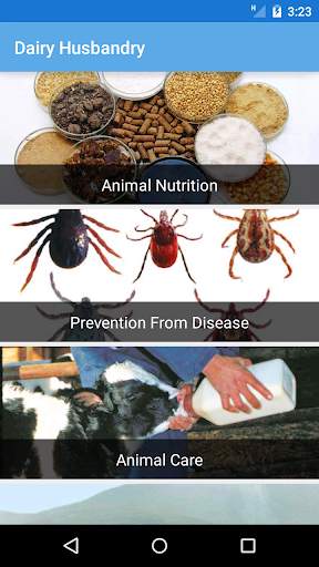 Dairy Husbandry Practices скриншот 2