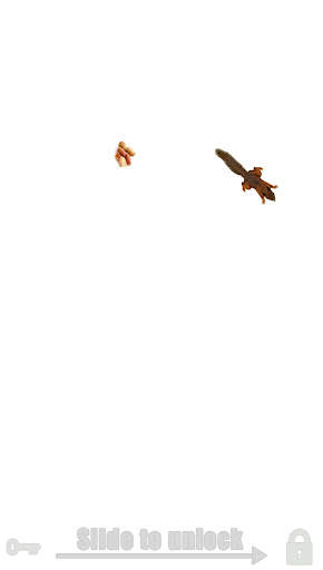 Fly simulator: cat toy screenshot 7