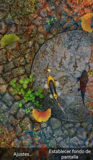 Peces Wallpaper - Fondo de Pantalla screenshot 3