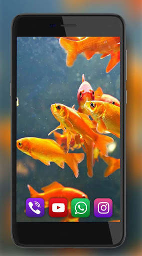 Aquarium Gold Fishes LWP 4 تصوير الشاشة