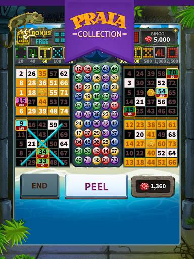 Video Bingo Tulum screenshot 4