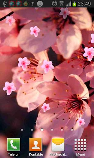 Sakura Live Wallpaper screenshot 4