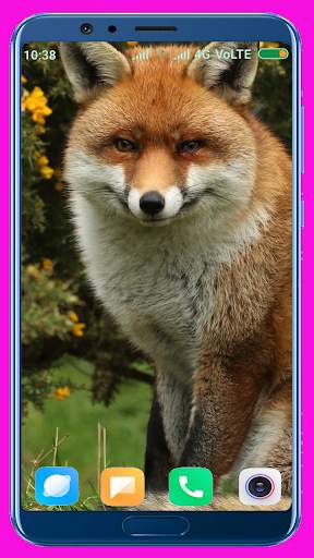 Fox Wallpaper Best 4K screenshot 14