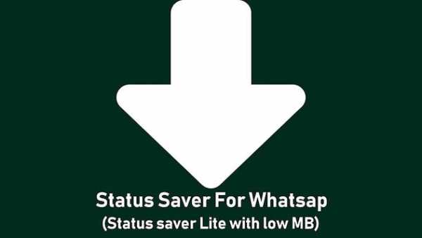 Status Saver Lite screenshot 3