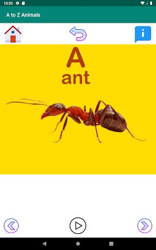 A to Z Animal Names screenshot 2