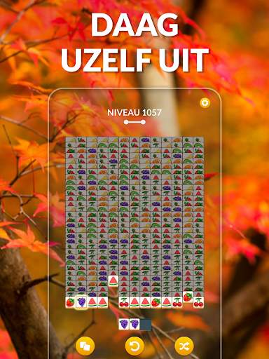 Zen-Match screenshot 8