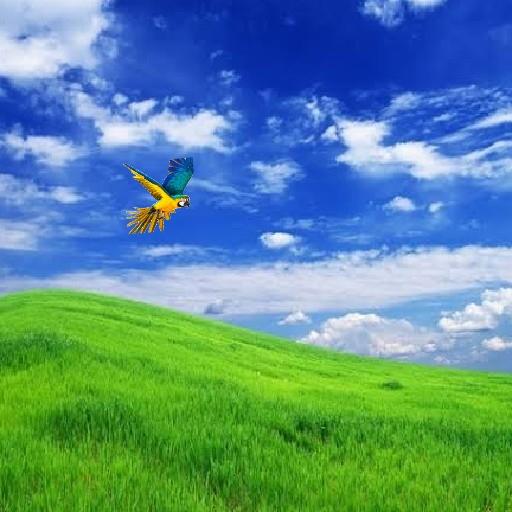 Clever Bird icon